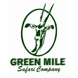 41197974_679705125731345_674460562989514752_n