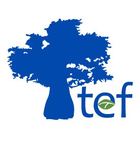 TEF-Logo