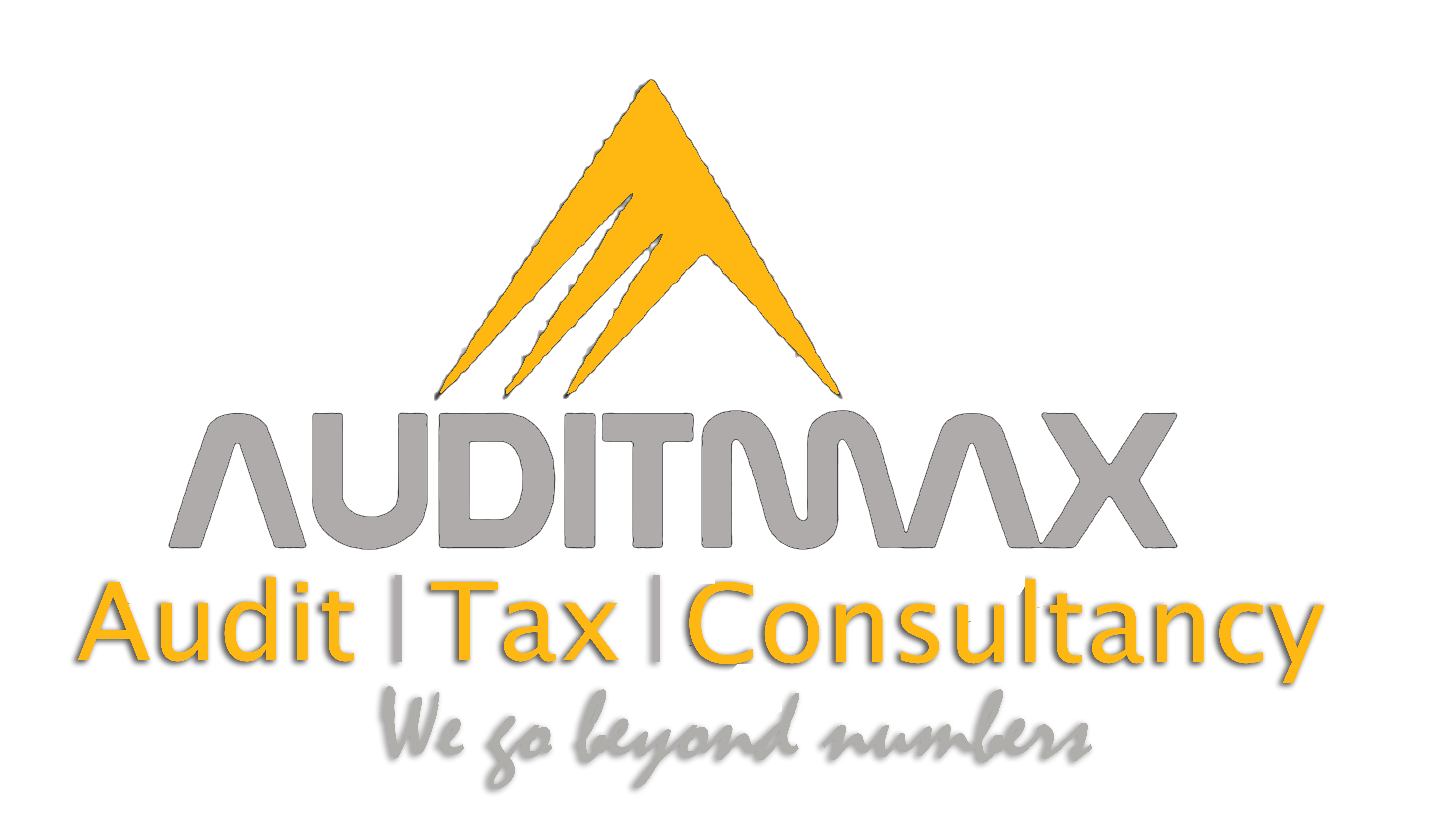 AuditMax Financial Consultancy